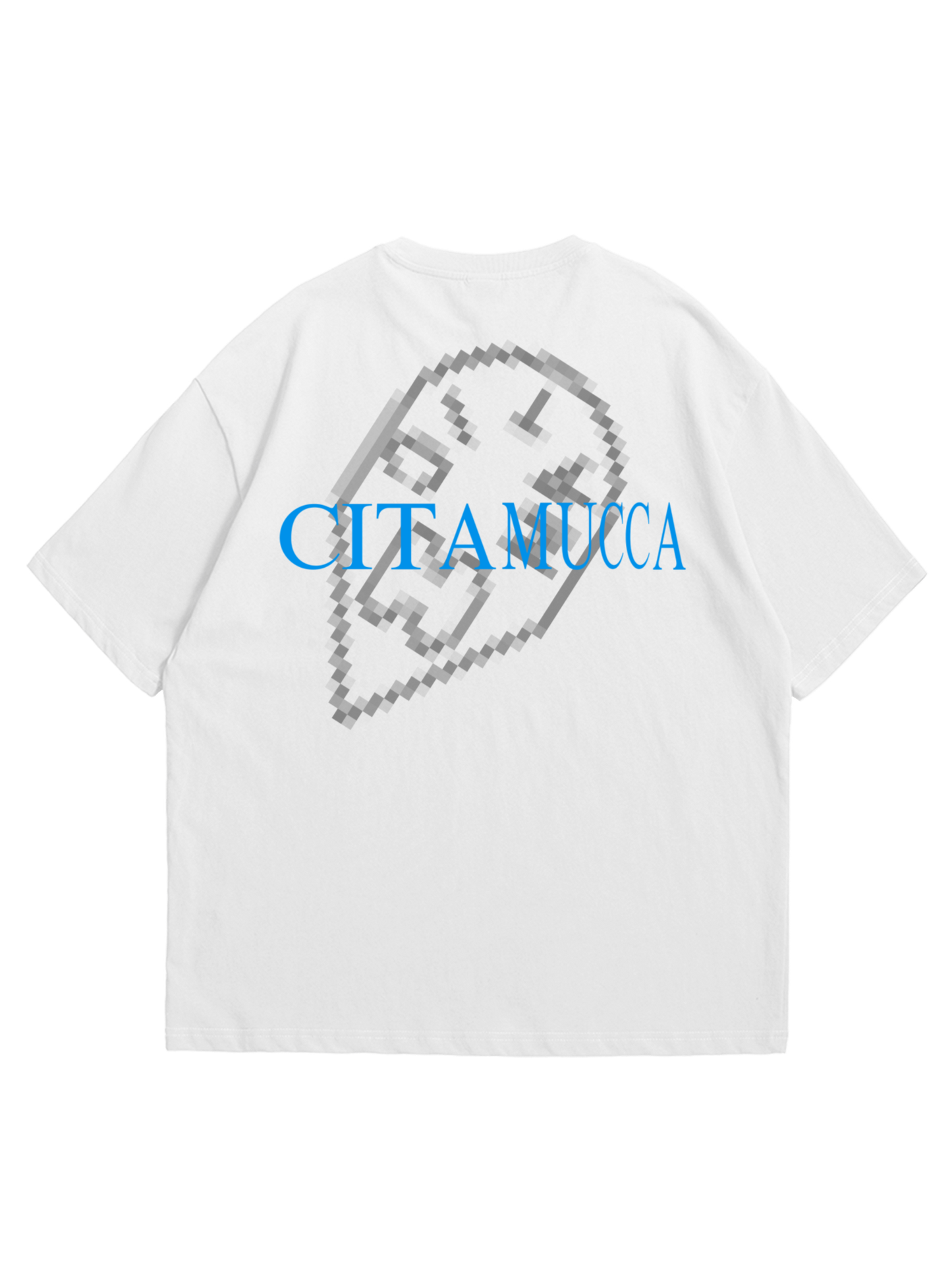 CITAM-UCCA